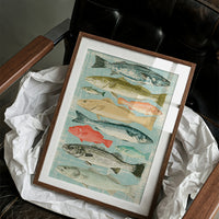 Catch of the Day: A Vintage Fish Chart