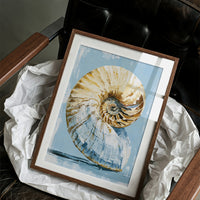 Golden Spiral, Nautilus Study
