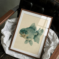 The Lion-Headed Goldfish, Studied in Ink