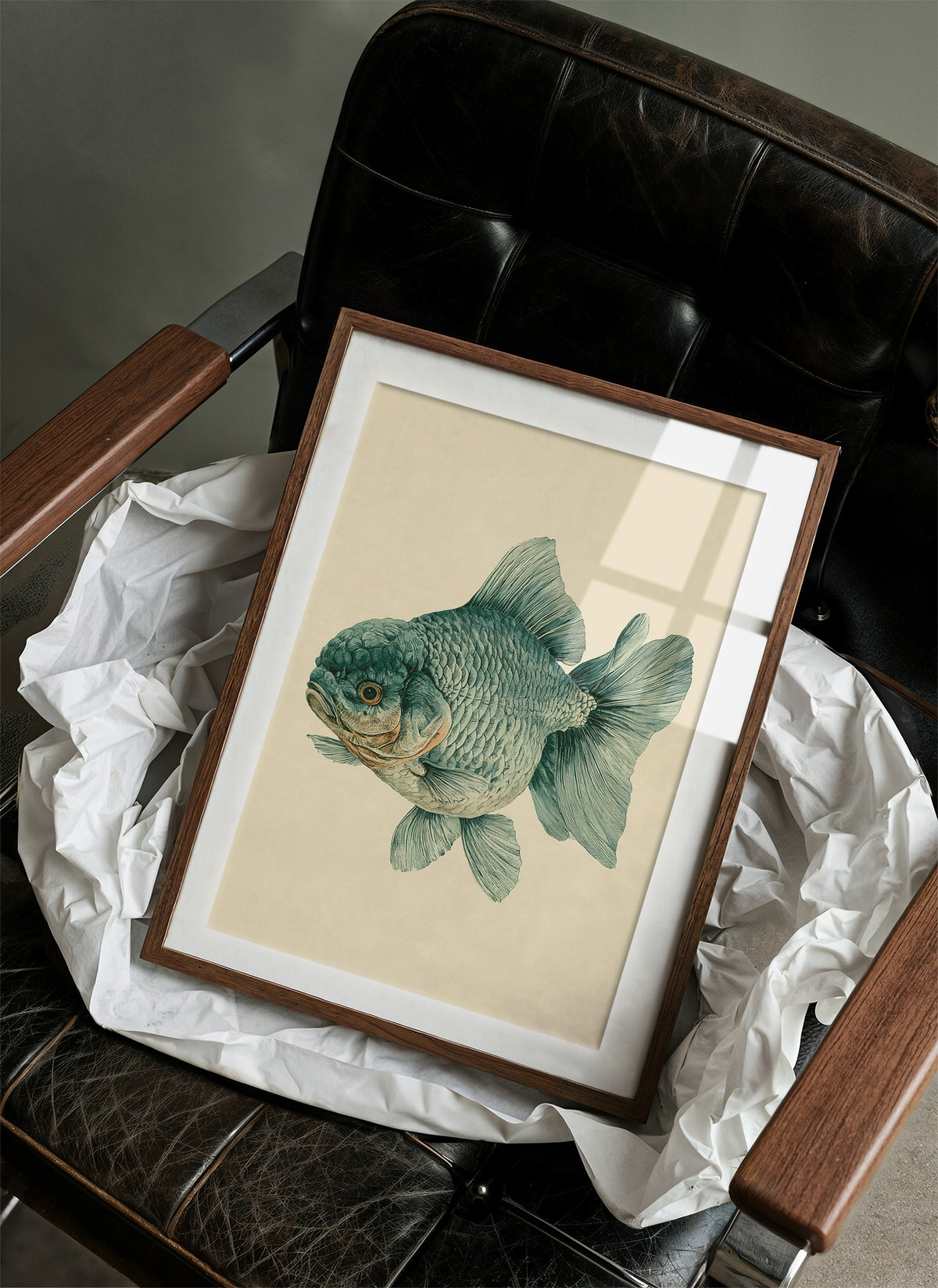 The Lion-Headed Goldfish, Studied in Ink