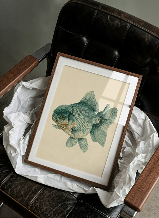 The Lion-Headed Goldfish, Studied in Ink