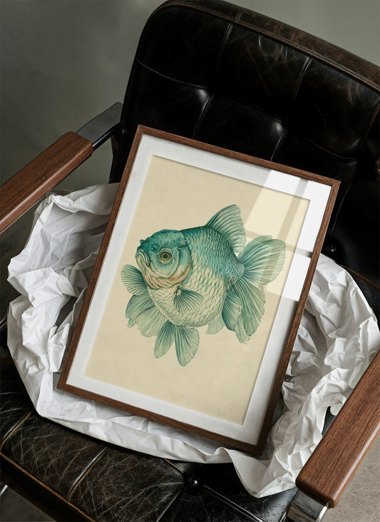 The Curious Goldfish, Face to Face