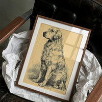 The Good Old Boy: Vintage Setter Sketch