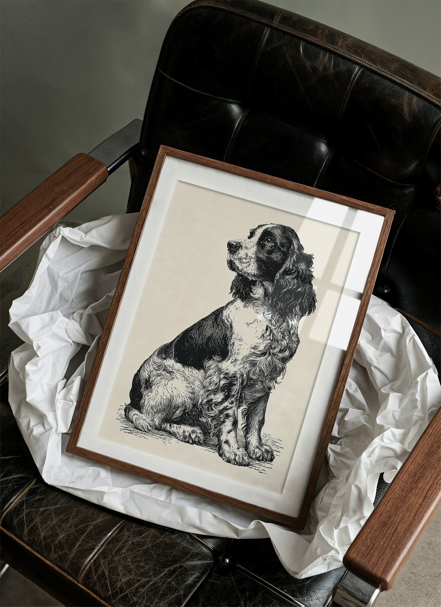 The Springer's Quiet Profile
