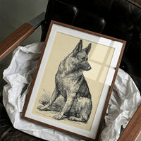 Ever Alert: Vintage Shepherd Sketch