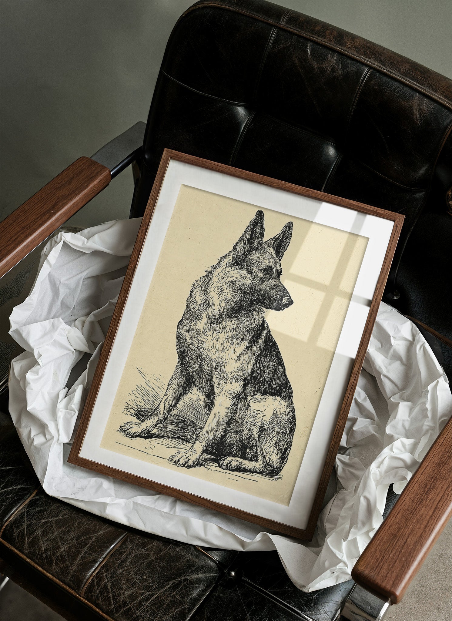Ever Alert: Vintage Shepherd Sketch