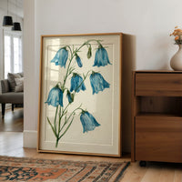 Bell Bottom Blues: A Bluebell Study
