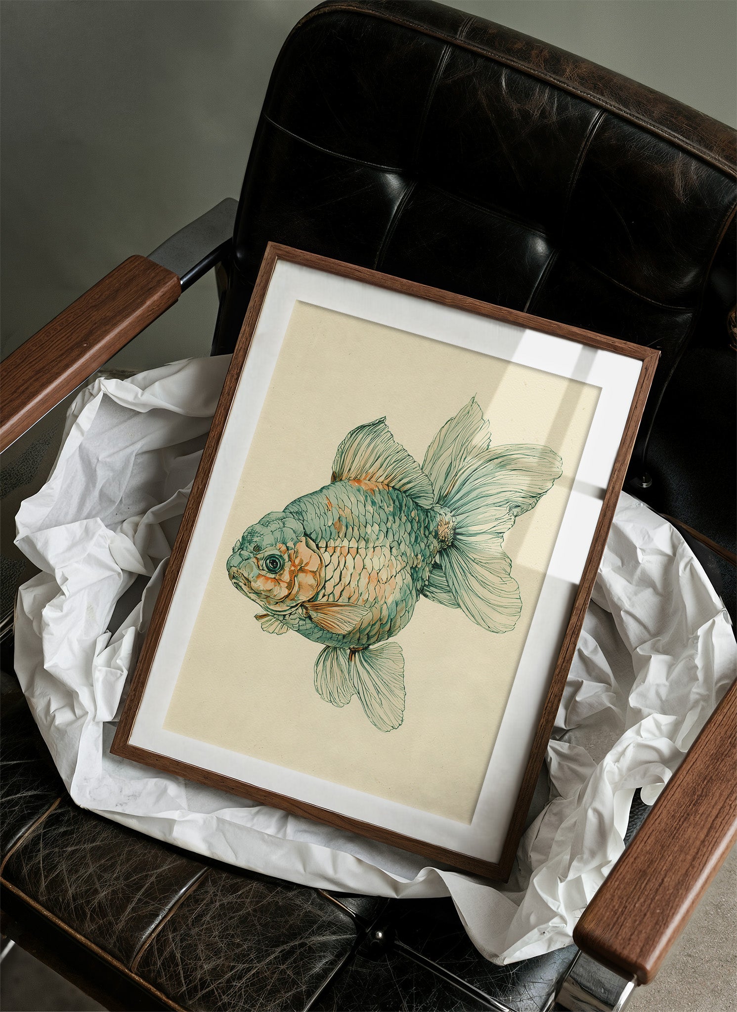 The Fancy One: Ornamental Goldfish Study