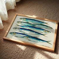 Catch of the Day, Sardine Study