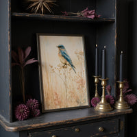 Bluebird in the Dried Wildflowers
