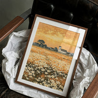 Daisy Fields at Golden Hour