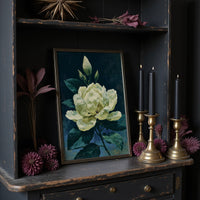 Ivory Bloom in Shadow