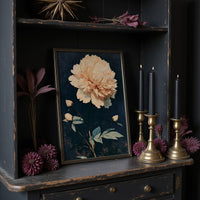 One Peony, No Apologies