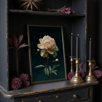 Ivory Peony, Dutch Master Mood