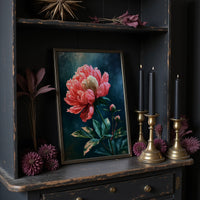 Coral Peony Against Midnight Blue