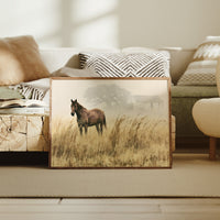 Bay Horse in the Golden Field