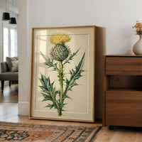Thistle In Fine Botanical Detail