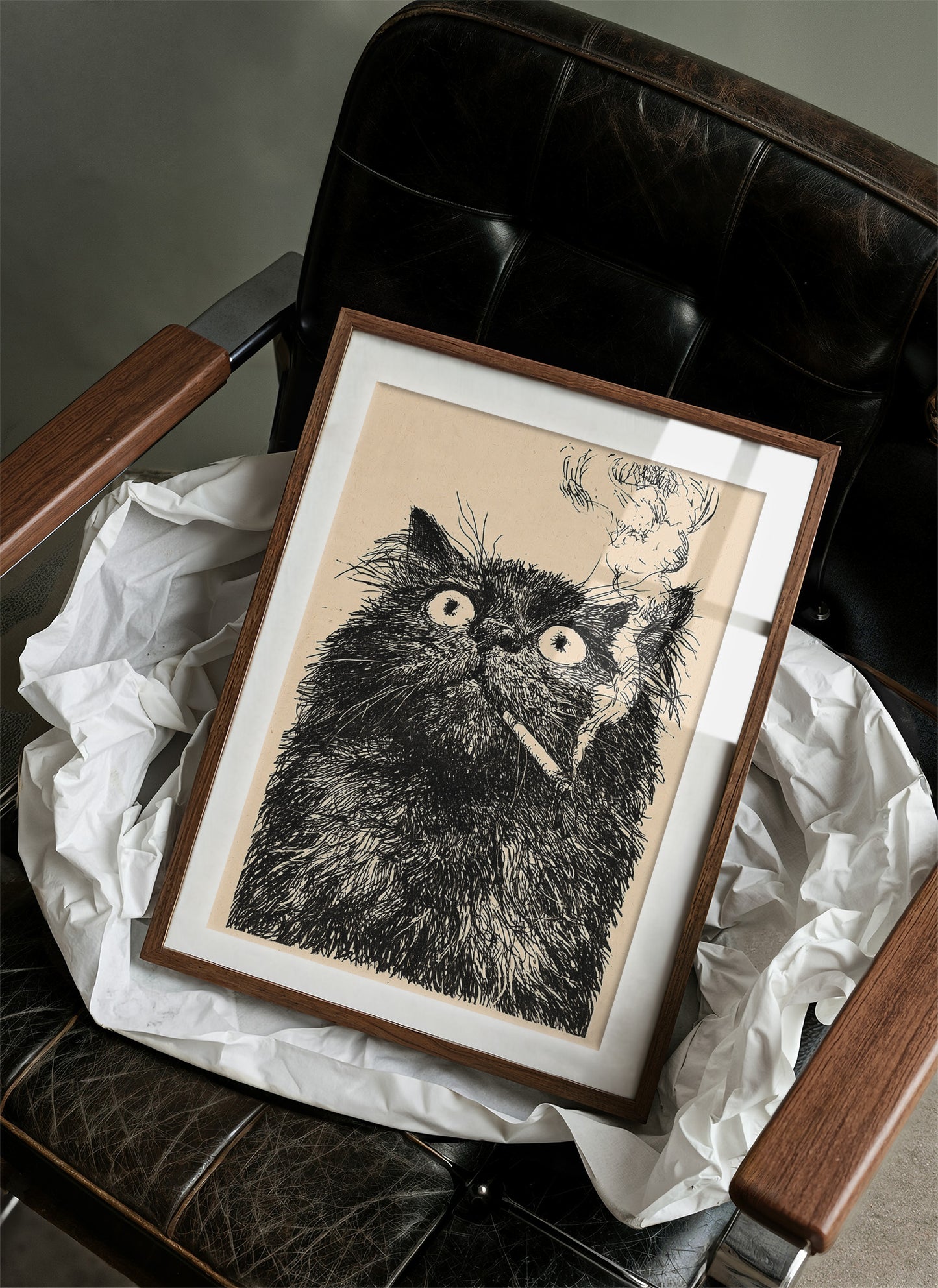 Cat Has Seen Some Things