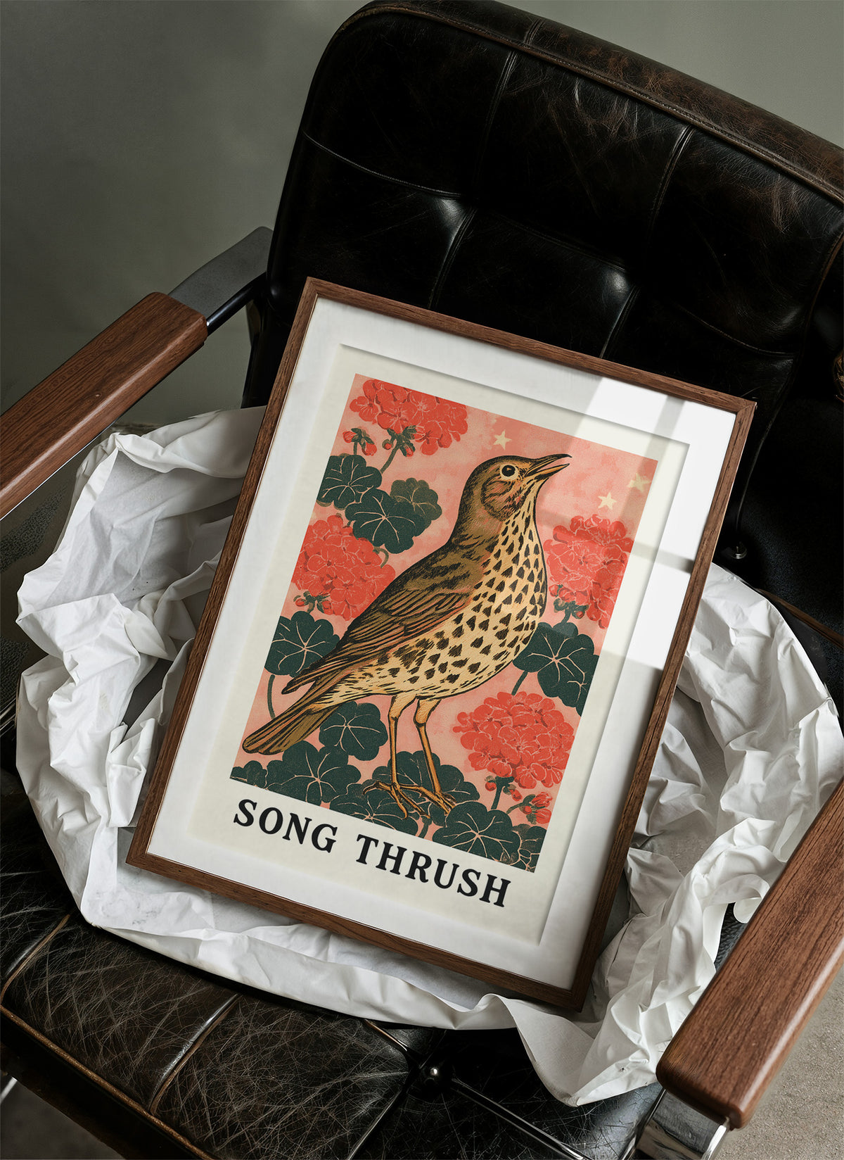 Song Thrush Among Geraniums