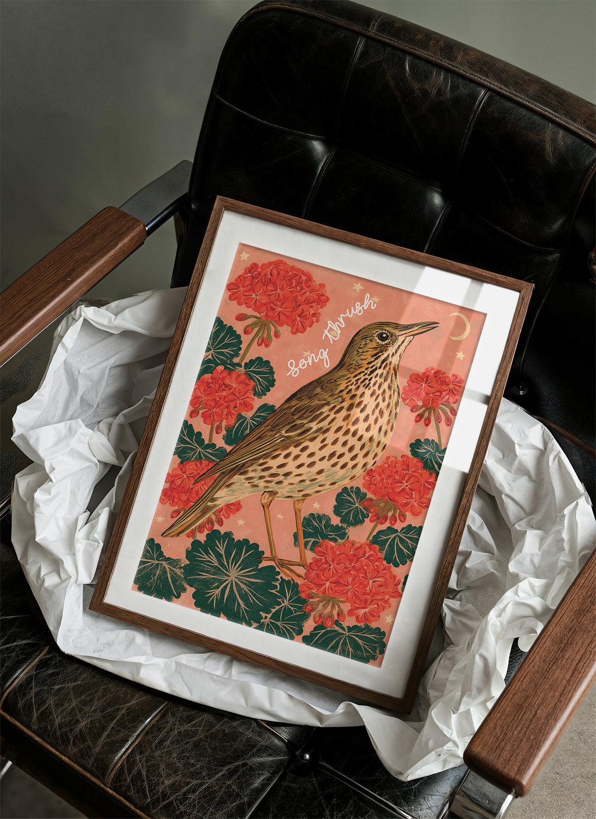 Song Thrush Under a Crescent Moon