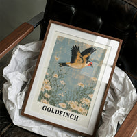 Goldfinch Over Daisy Fields