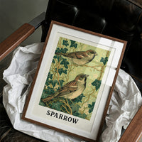 Sparrows Among the Ivy