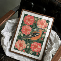Chaffinch in Full Bloom