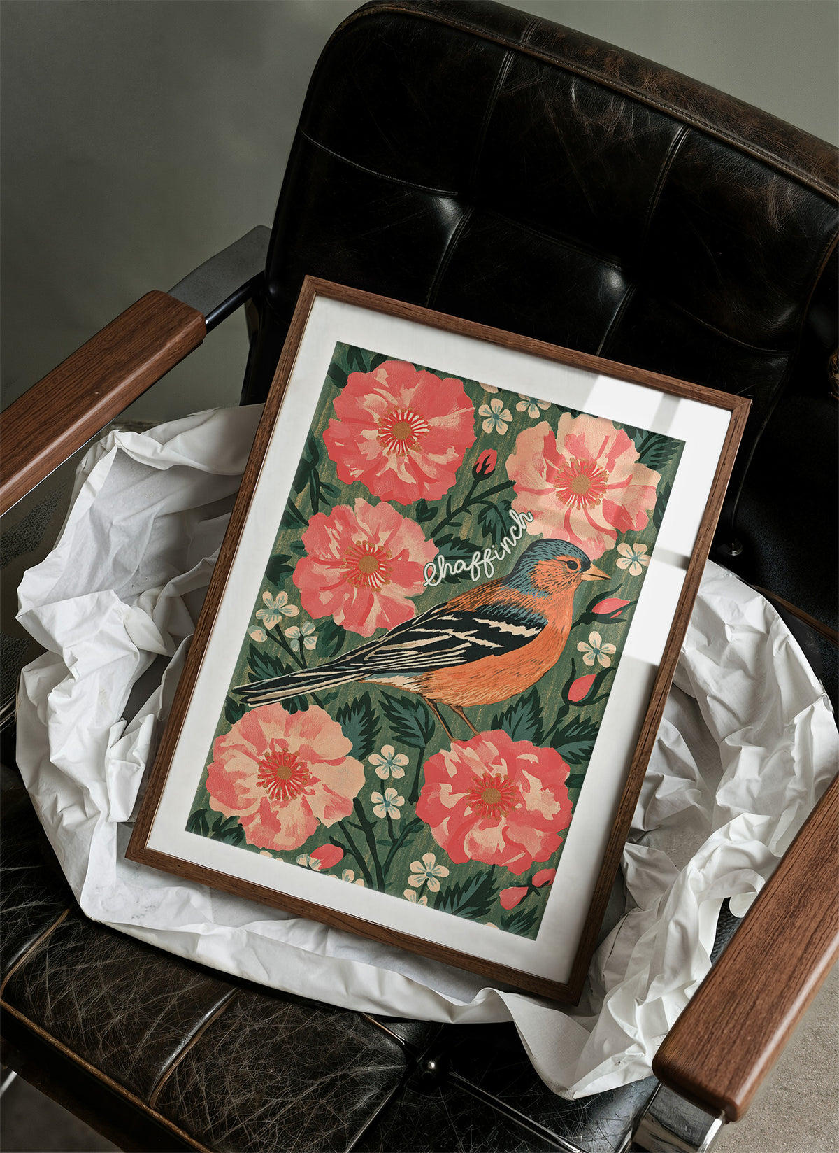 Chaffinch in Full Bloom