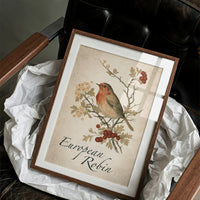 Robin the Hawthorn Blind
