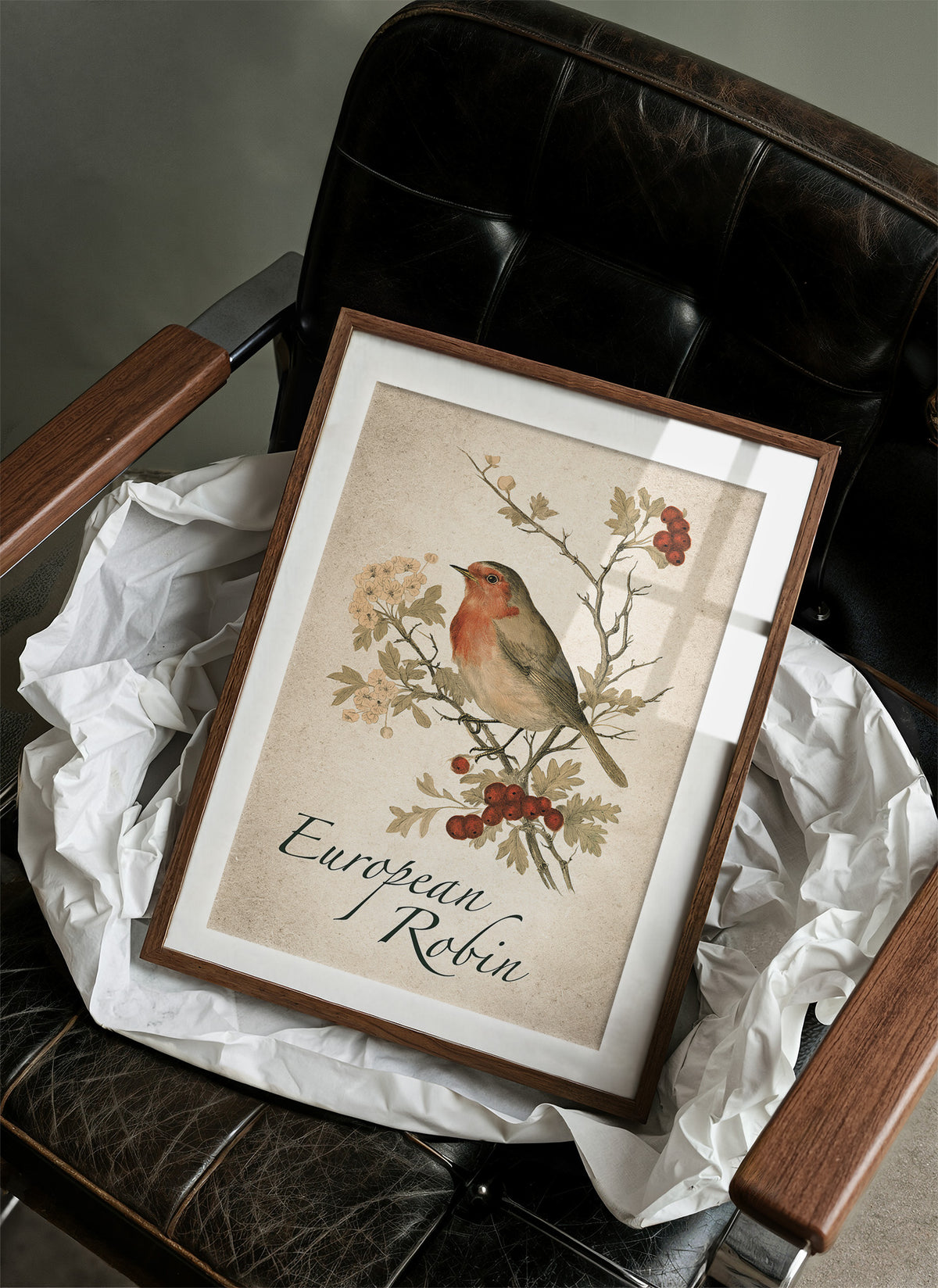 Robin the Hawthorn Blind