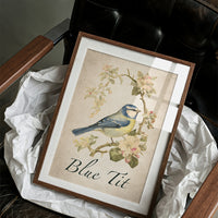 Blue-Blooded Among the Blossoms