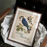 Bramble On, Blue Crooner