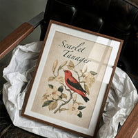 Scarlet Letter Among the Magnolias