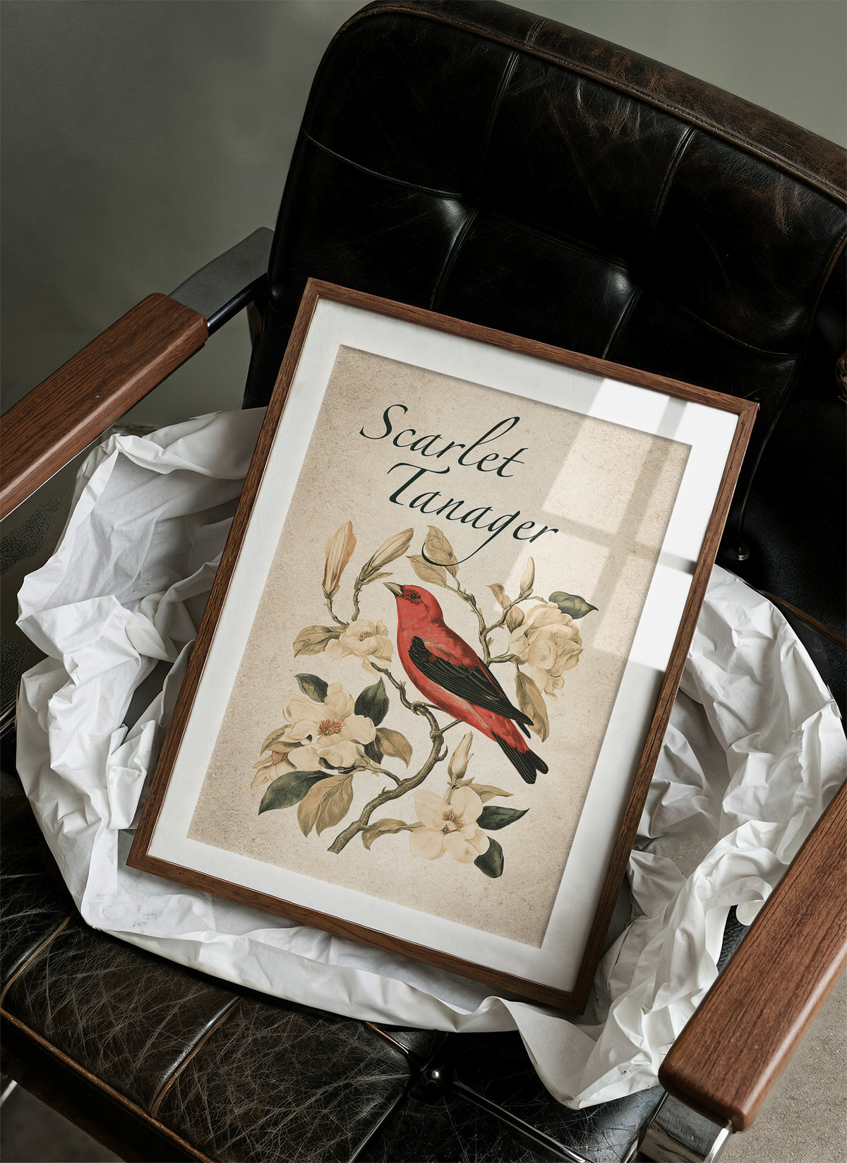 Scarlet Letter Among the Magnolias