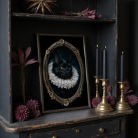Heir to the Velvet Cushion