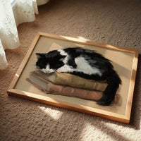 Two-Volume Snooze