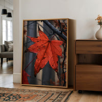 The Last Leaf Holding On