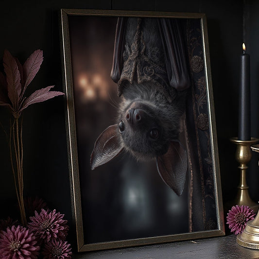 Midnight Curiosity Hangs Upside Down