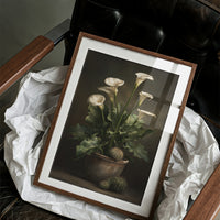 Ivory Blooms In Shadow
