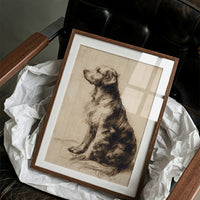 Loyal Companion In Profile