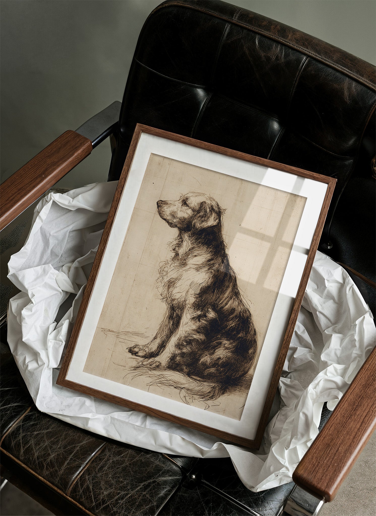 Loyal Companion In Profile