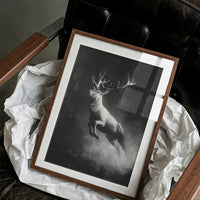 Antlers Through the Midnight Fog