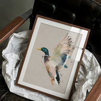 Wingbeat Of The Mallard