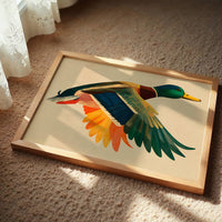 Mallard in Midair