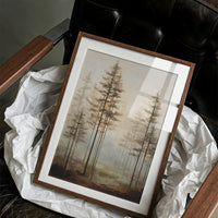 Morning Mist Among Pines