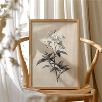 Drawn the Morning It Bloomed