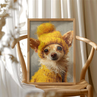 Tiny Dog, Maximum Outfit