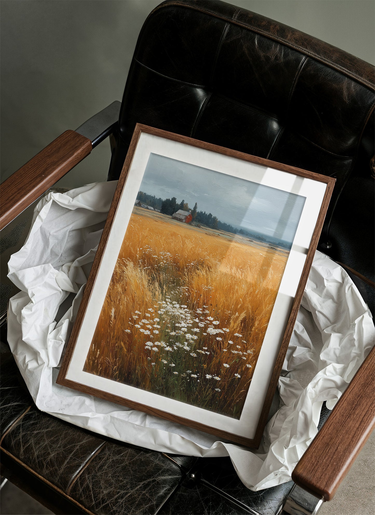 Daisies Break the Wheat