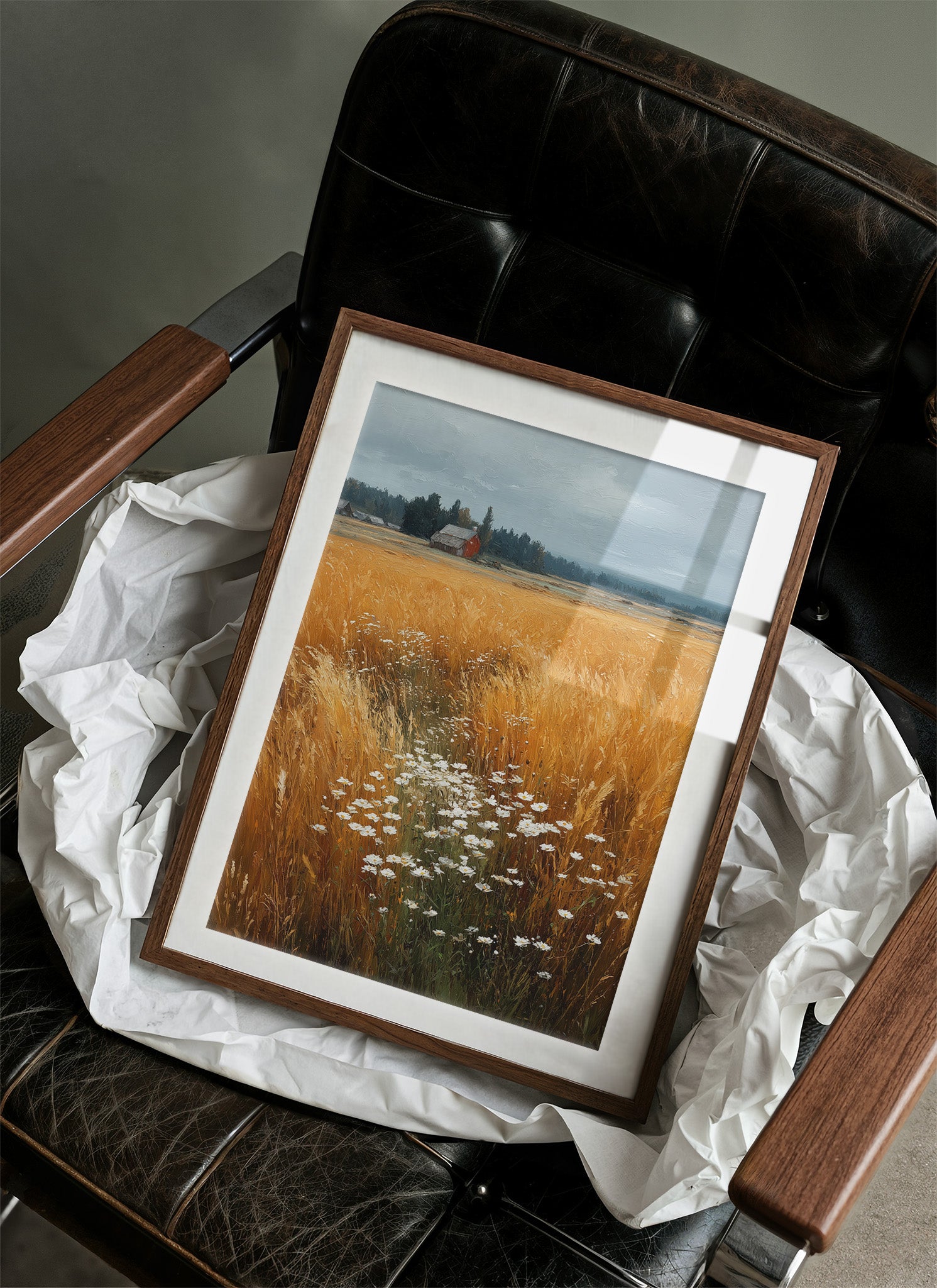 Daisies Break the Wheat