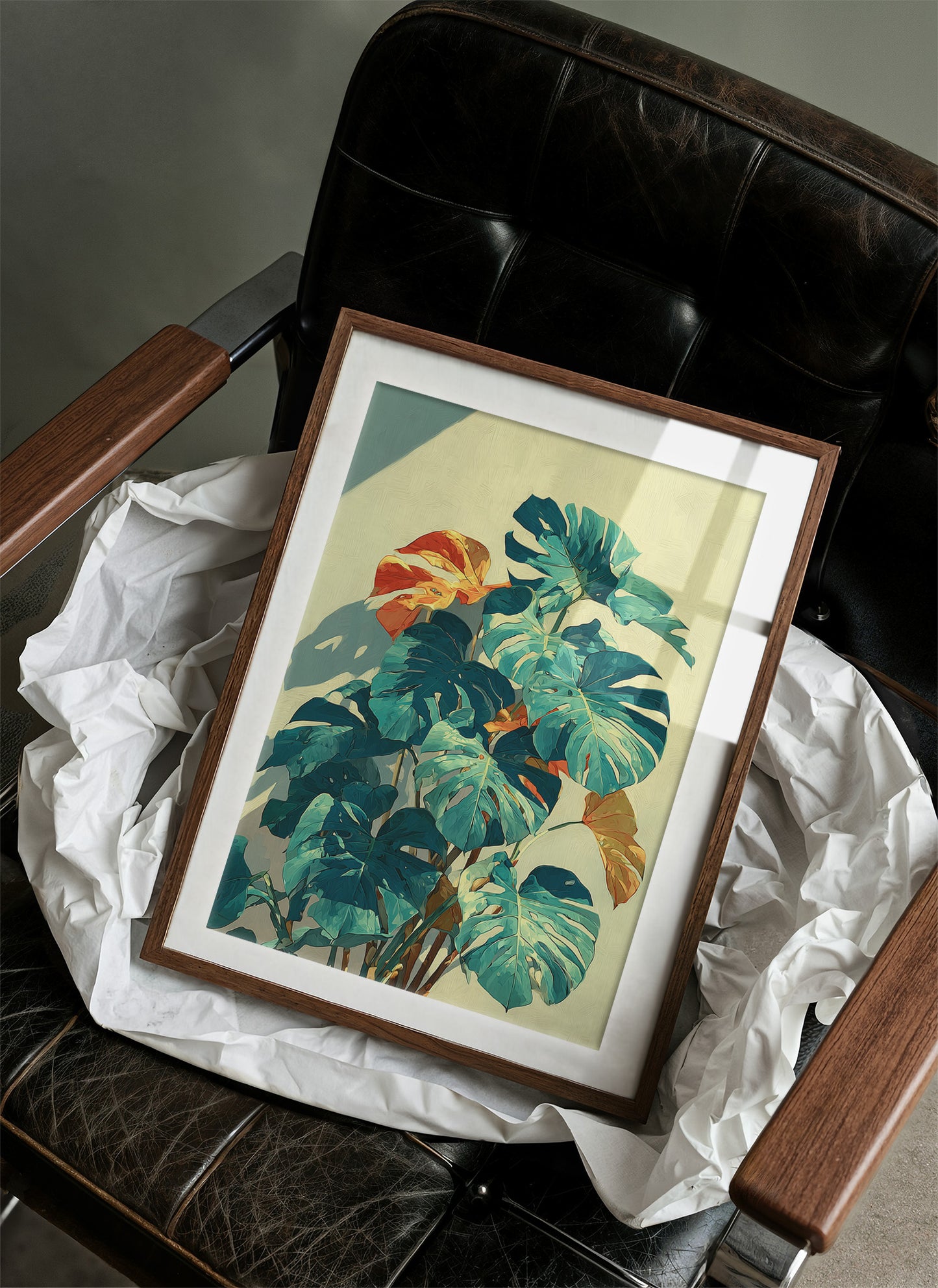 Monstera in Afternoon Light